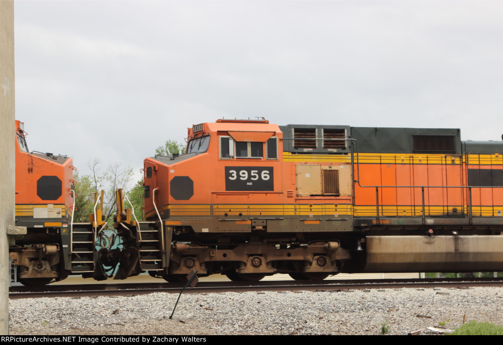 NS 3956